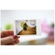 Кассета на 10 фотографий (рамка розовые точки), размером 86x54 (mini)