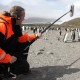 Удочка Rode Micro Boompole (80-200см)
