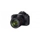 Фотоаппарат Canon EOS 5D Mark III Kit EF 24-105 L IS USM (2 года гарантии от Canon)