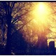 Фотопленка Lomography 120 Redscale XR ISO 100 Color Negative Film (1шт)