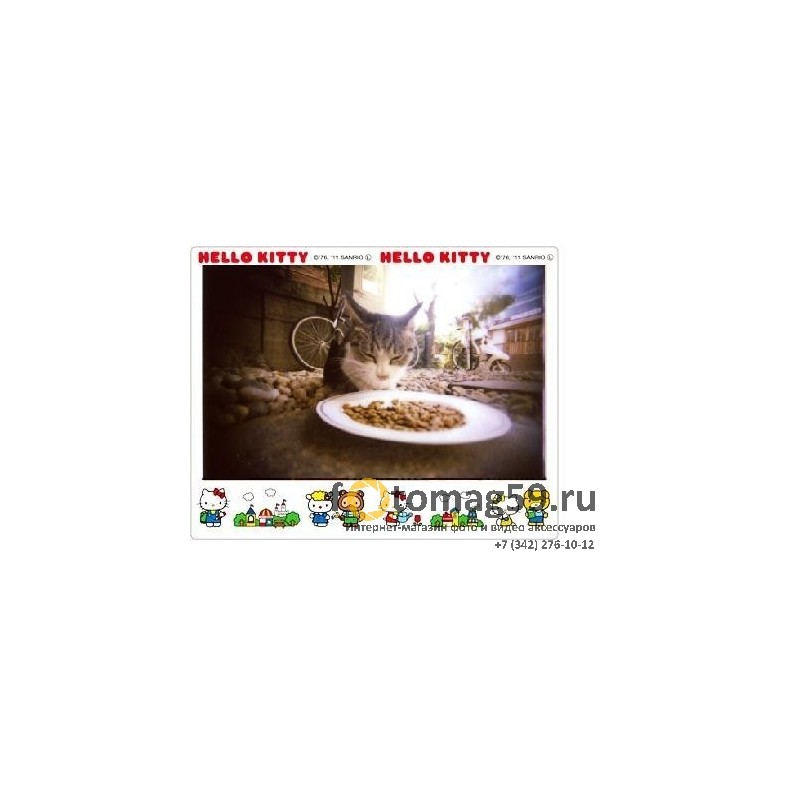 /img/p/2230-3819-thickbox.jpg