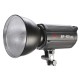 Моноблок Jinbei EF-100 ( EF-100 II) 5500K LED Sun light байонет Bowens