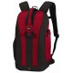 Рюкзак Lowepro Flipside 300 (красный цвет)