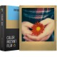 Кассета для Polaroid 600 636 PX680 (600 серия) 8 фото (цветное фото, рамка золотая)
