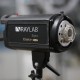  Импульсный свет Raylab Etalon RD-600 ( б/у 2 шт)