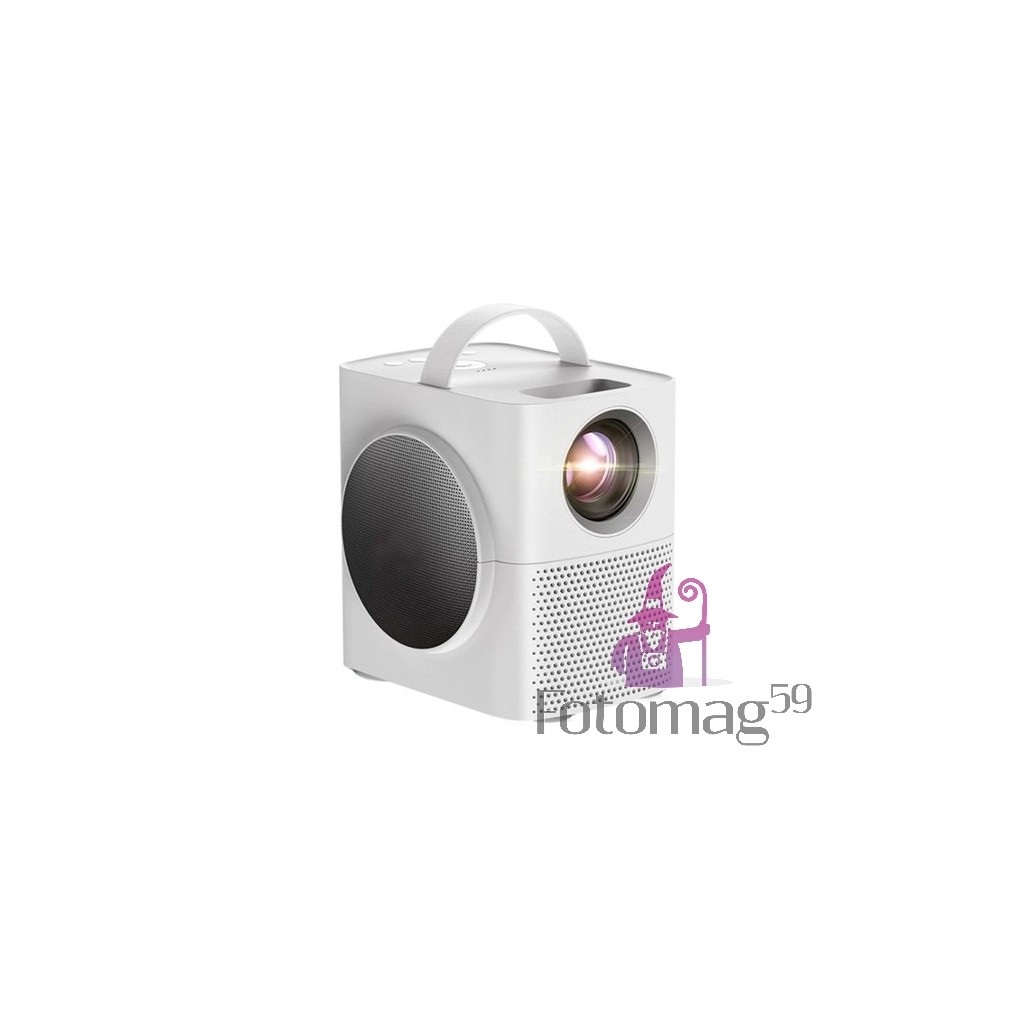 /img/p/6618-12932-thickbox.jpg