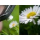 Универсальная насадка 3 в 1 (Fisheye 180, Wide, Macro)